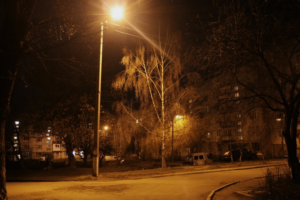 вулиця Некрасова