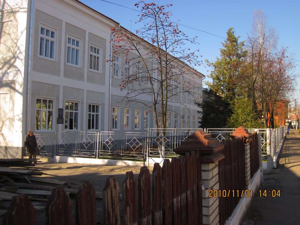 гимназия Сторожинца