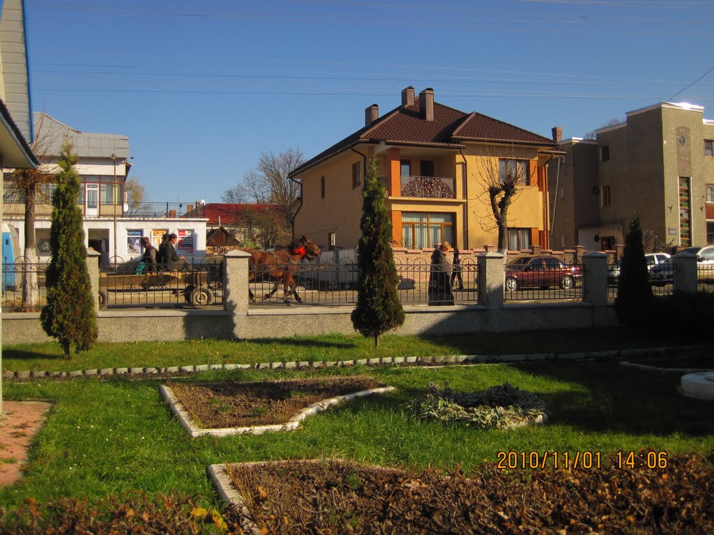 Сторожинец
