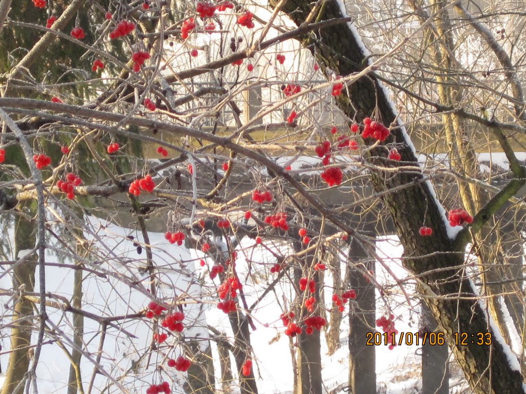 Парк..