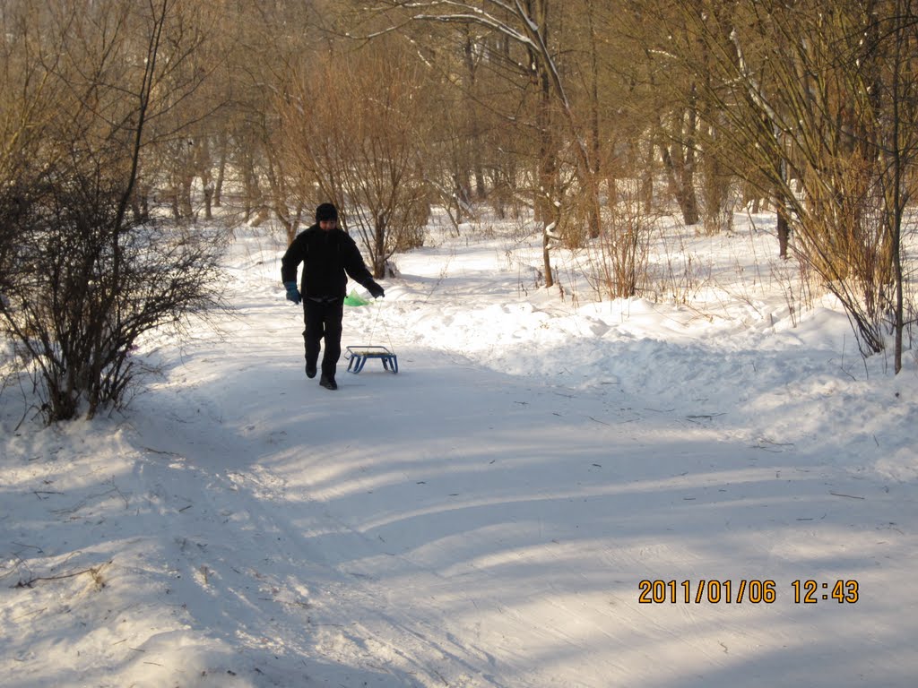 Парк Лесного Техникума