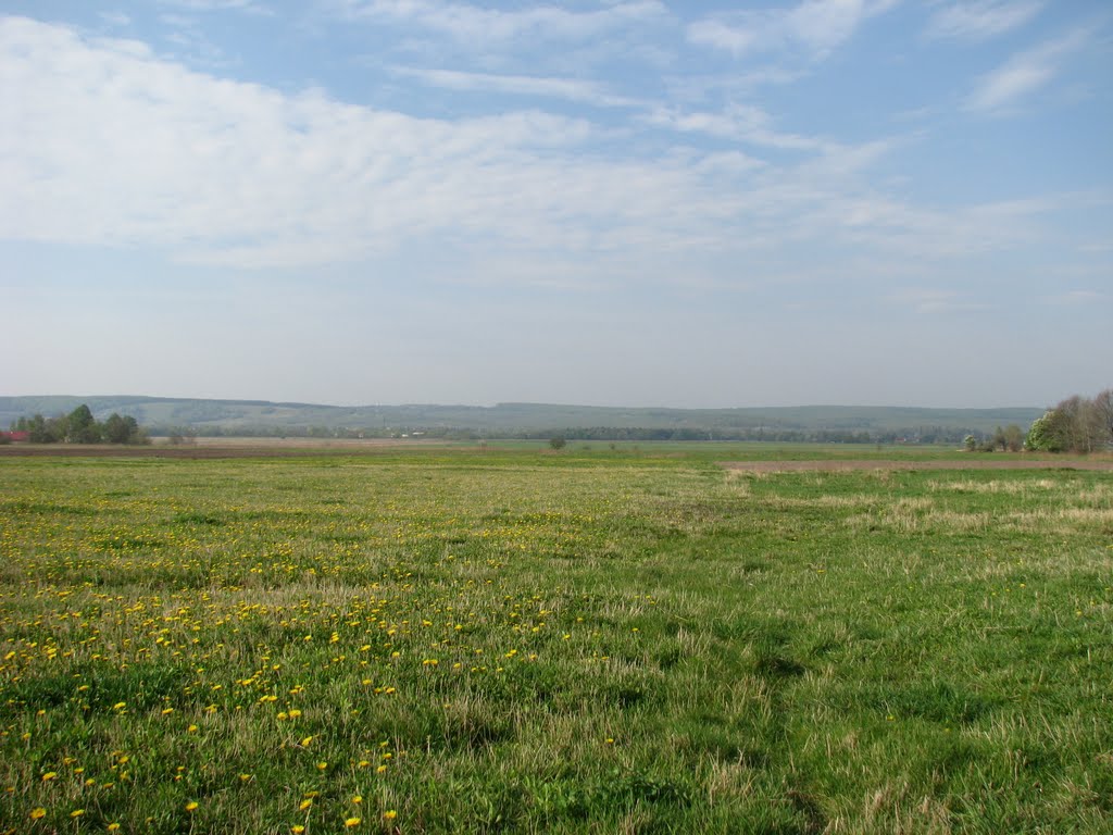 Field