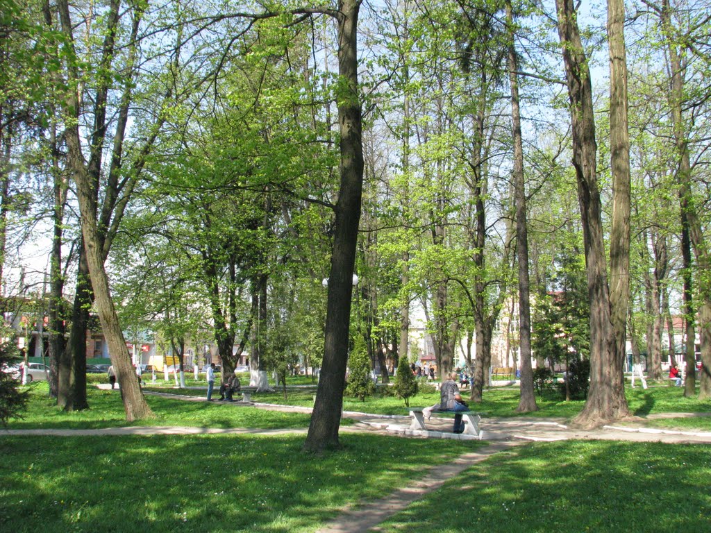 Park in Storozhynets