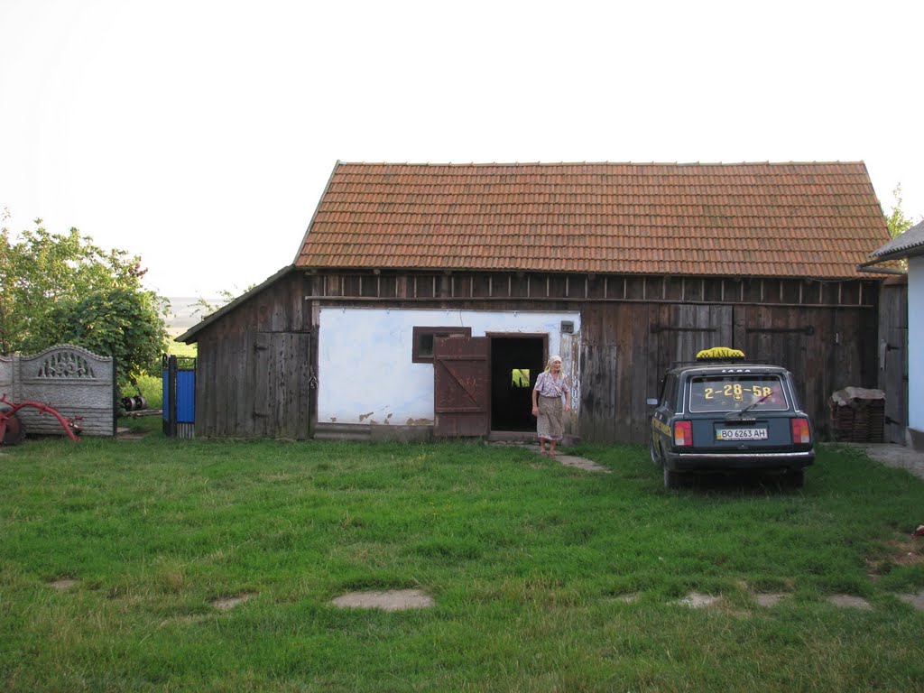 Yard