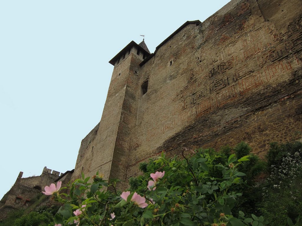 Хотинська фортеця (XIII - XVIII ст.) / Khotyn. Castles-Fortress.