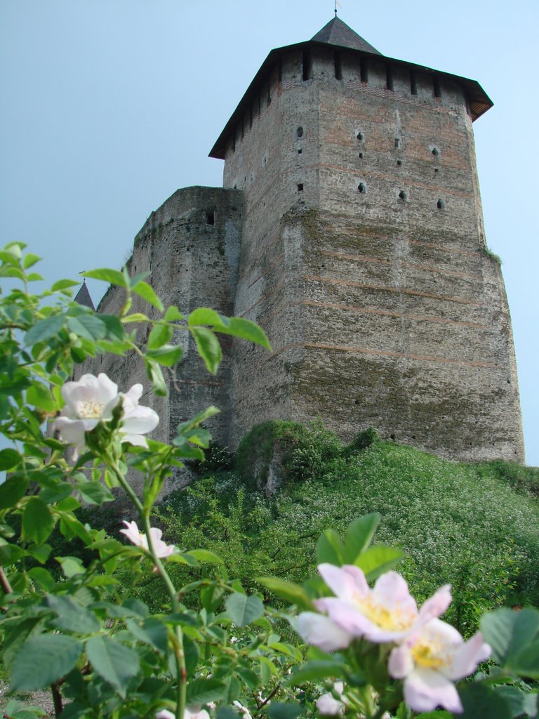 Khotyn Fortress - View from Dnister