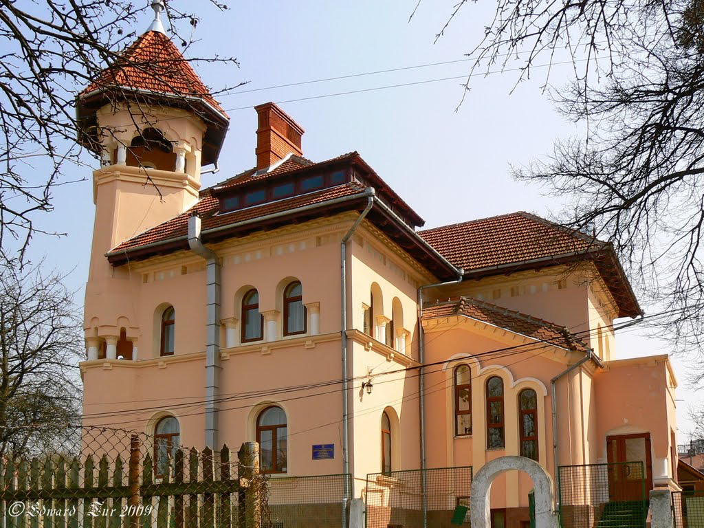 Peterhoffska street, 3