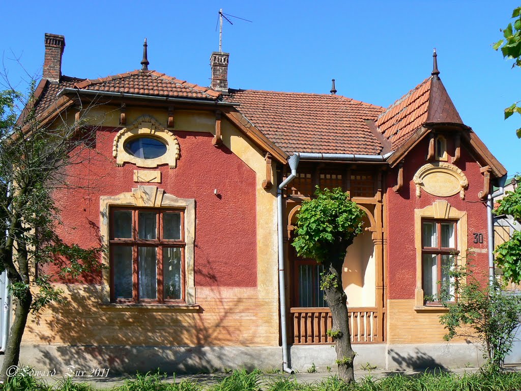 Gonchara street, 30