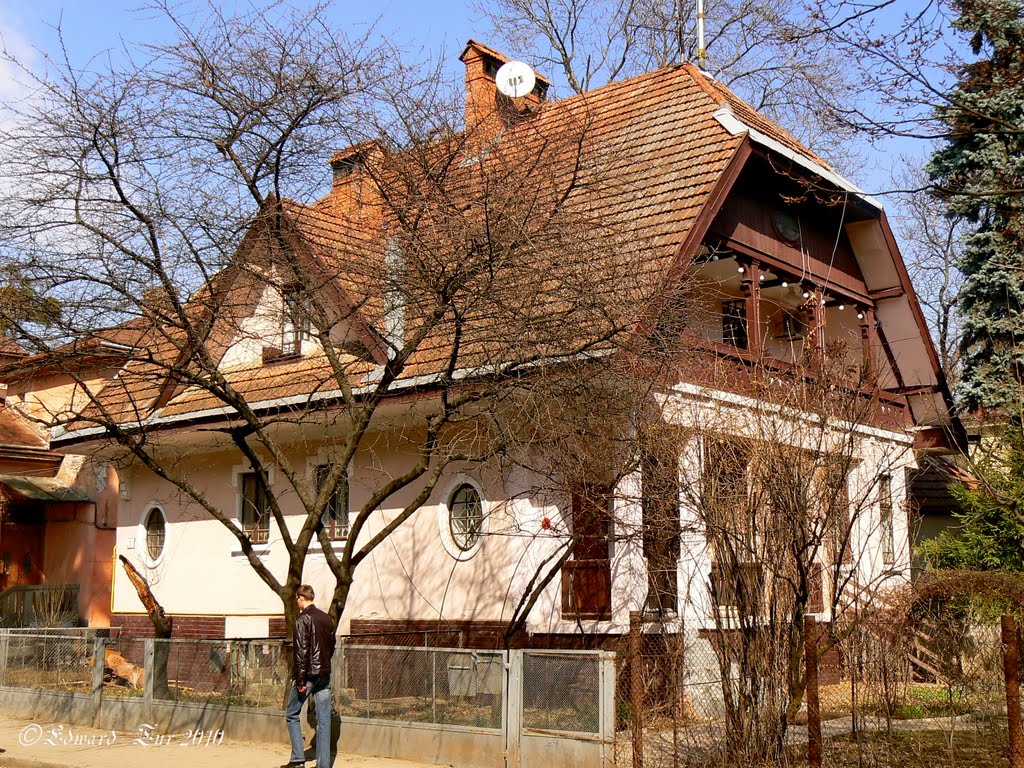 Fedkowycha street, 7. Former Gartengasse