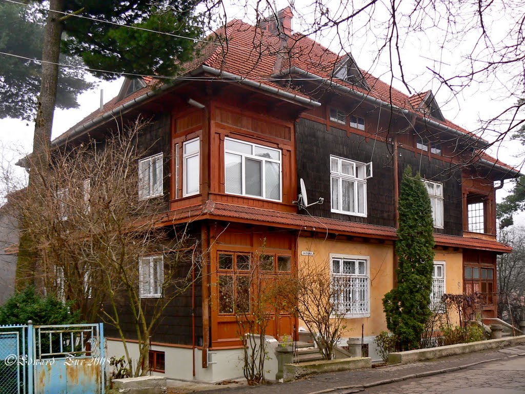 Stetsenka street, 9