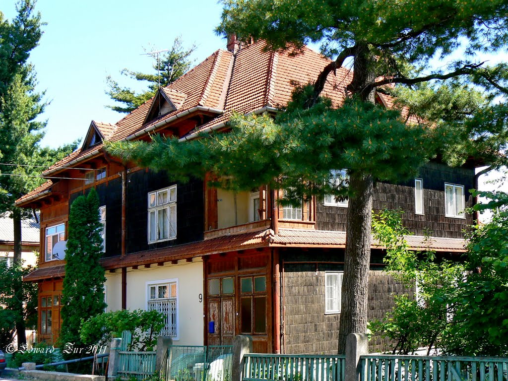 Stetsenka street, 9