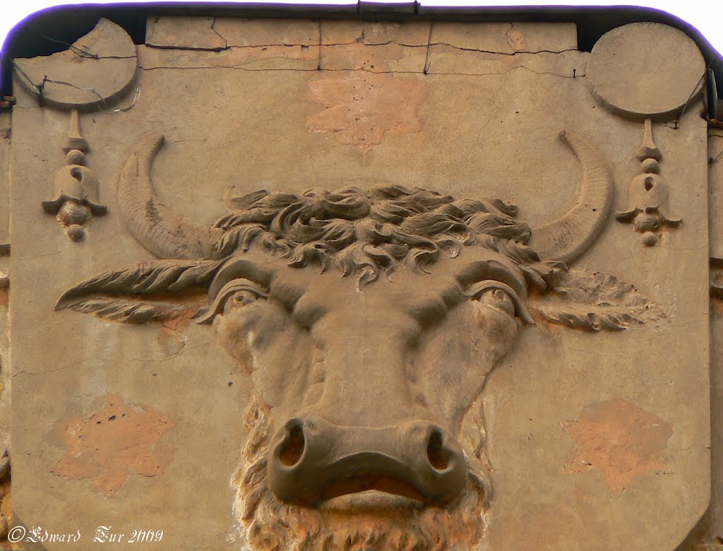 Head of a bull on the facade