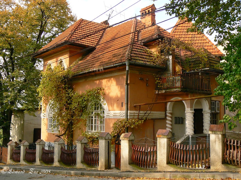 Matrosowa street, 11