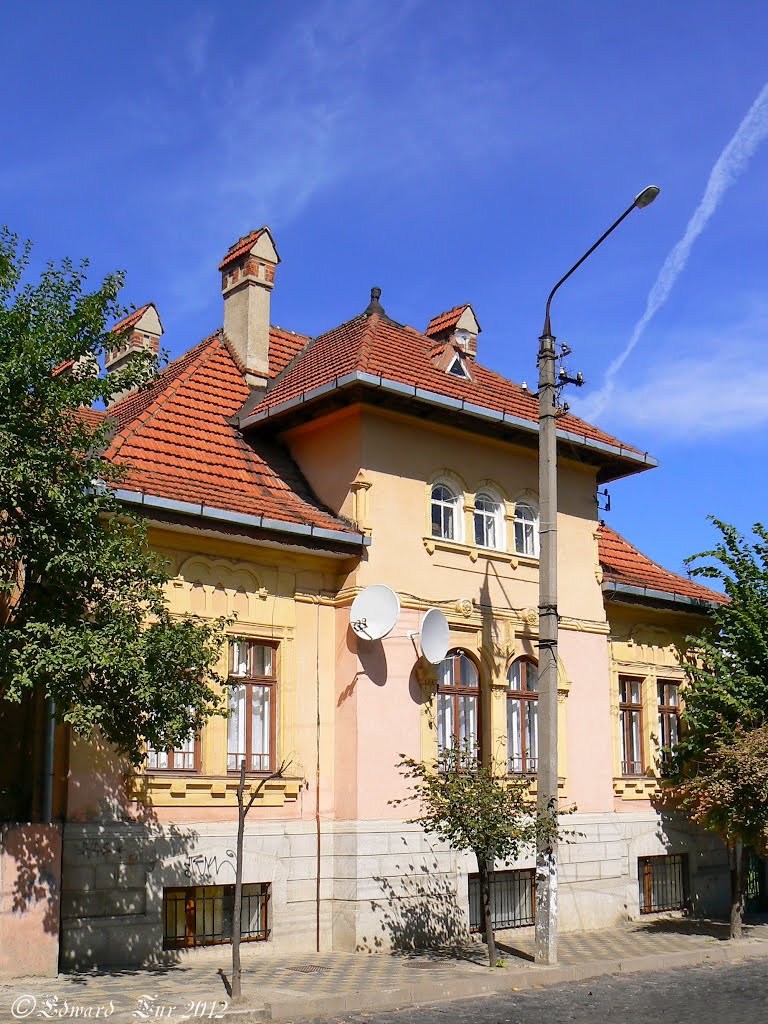 Shewchenka street, 77