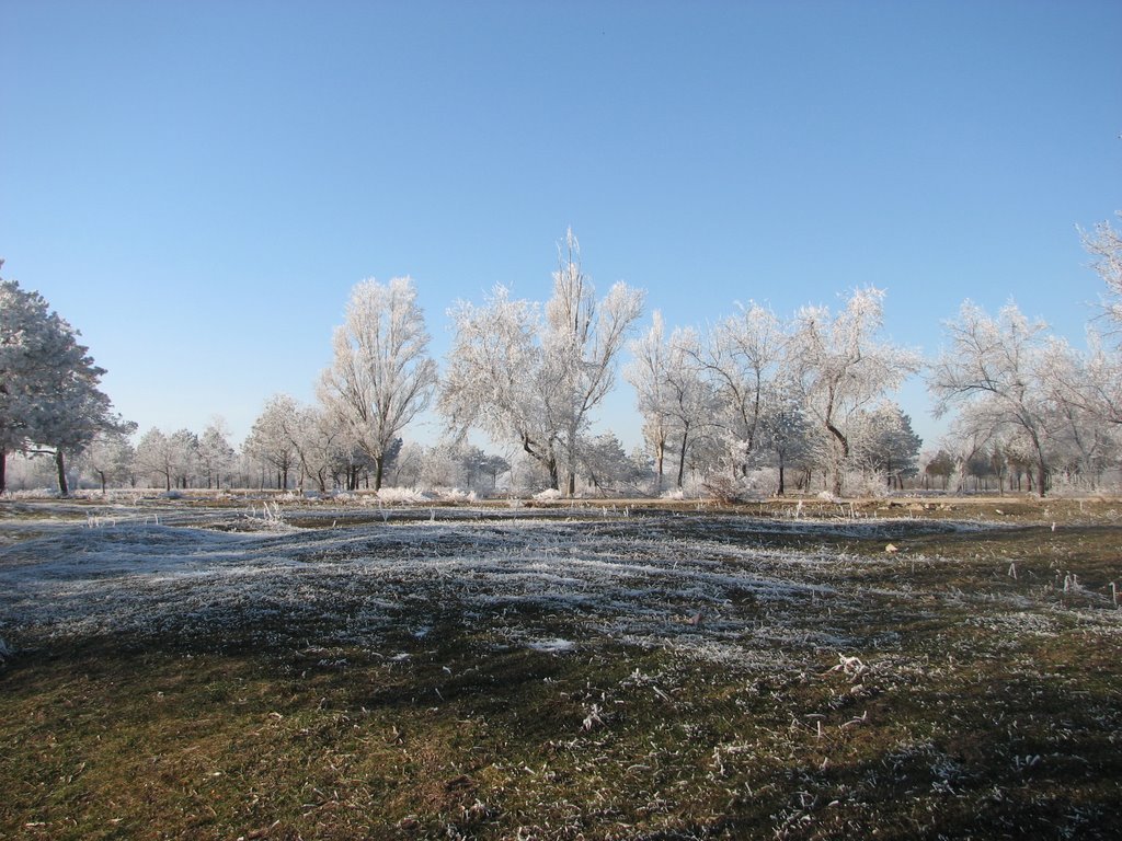 Winter in Armyansk