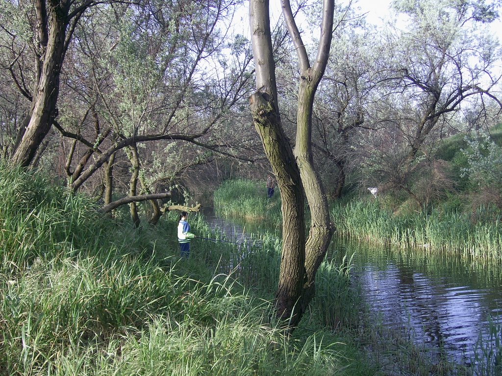 Утренняя рыбалка