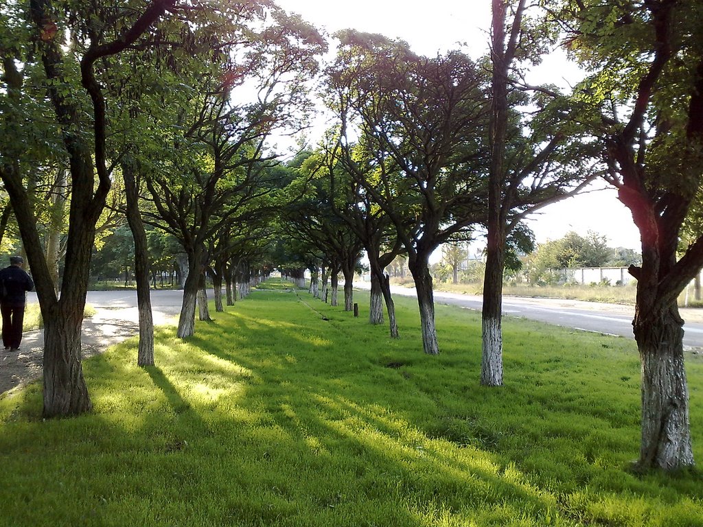 Аллея