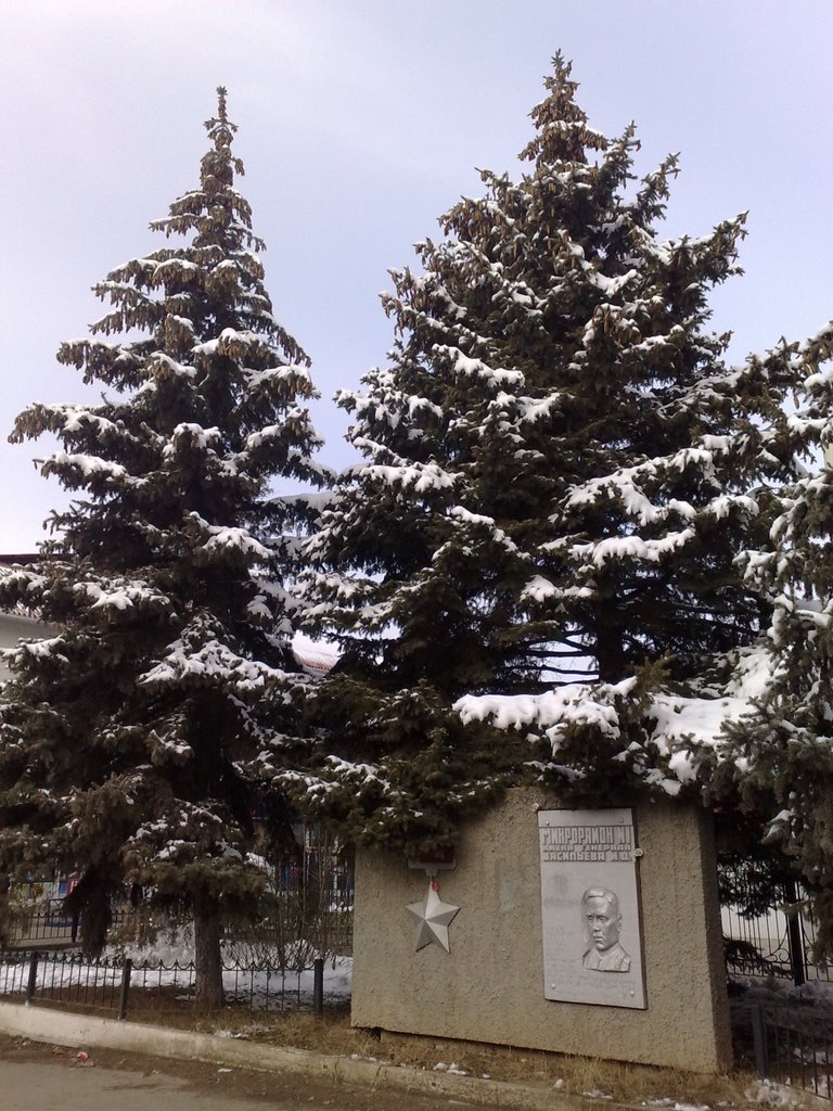 памятник генералу васильеву
