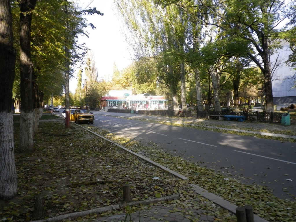 Armjansk