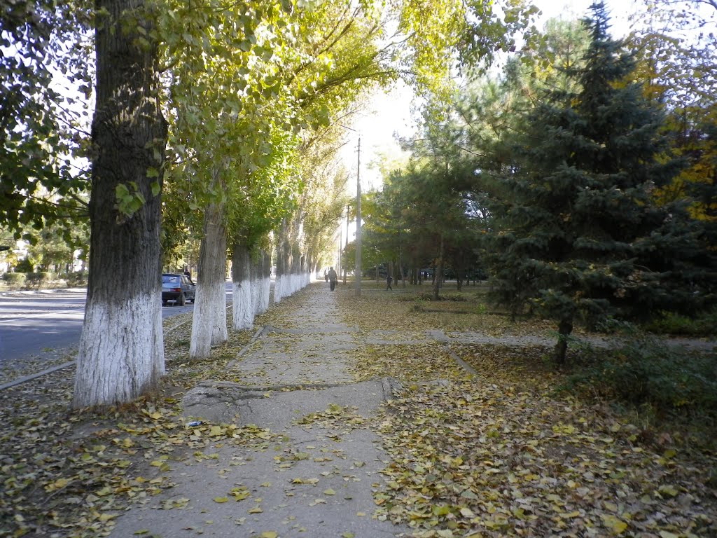 Armjansk