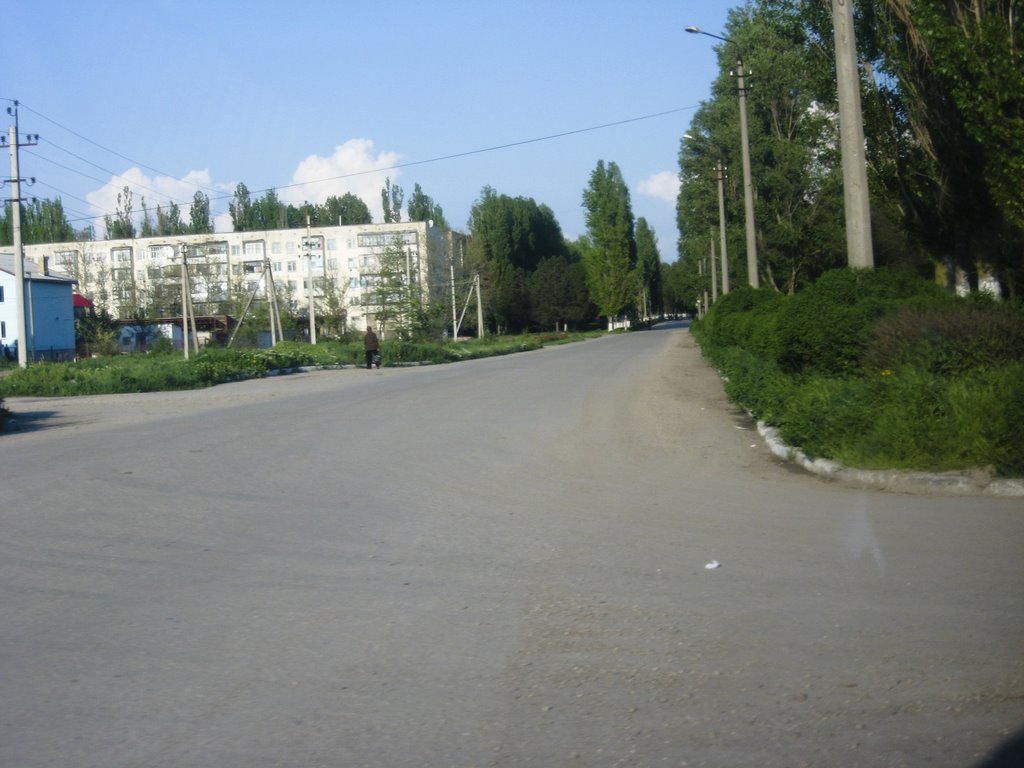The Road from the Karkinitsky Bay