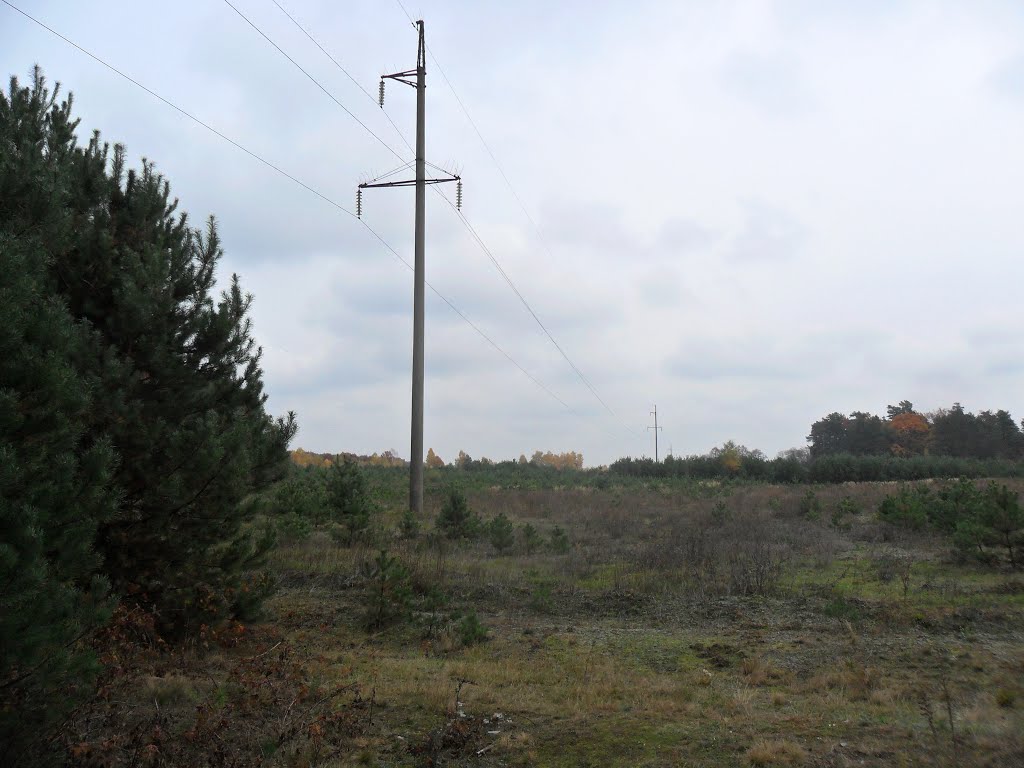 Линия ЛЭП / Power transmission line