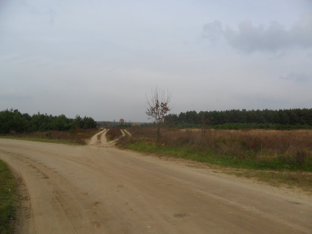 Дорога в с.Хоросница / The road to the village Horosnitsa