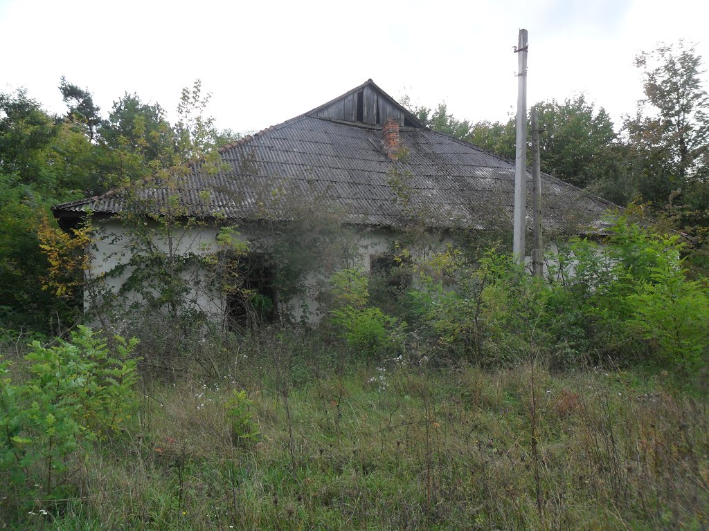 Заброшенный дом около жд. станции Хоросница / Abandoned house near the railway station Horosnitsa