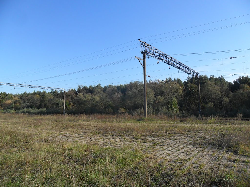 Площадка сбора сахарной свеклы на жд.станции Хоросница / Playground sugar-beet railway station Horosnitsa