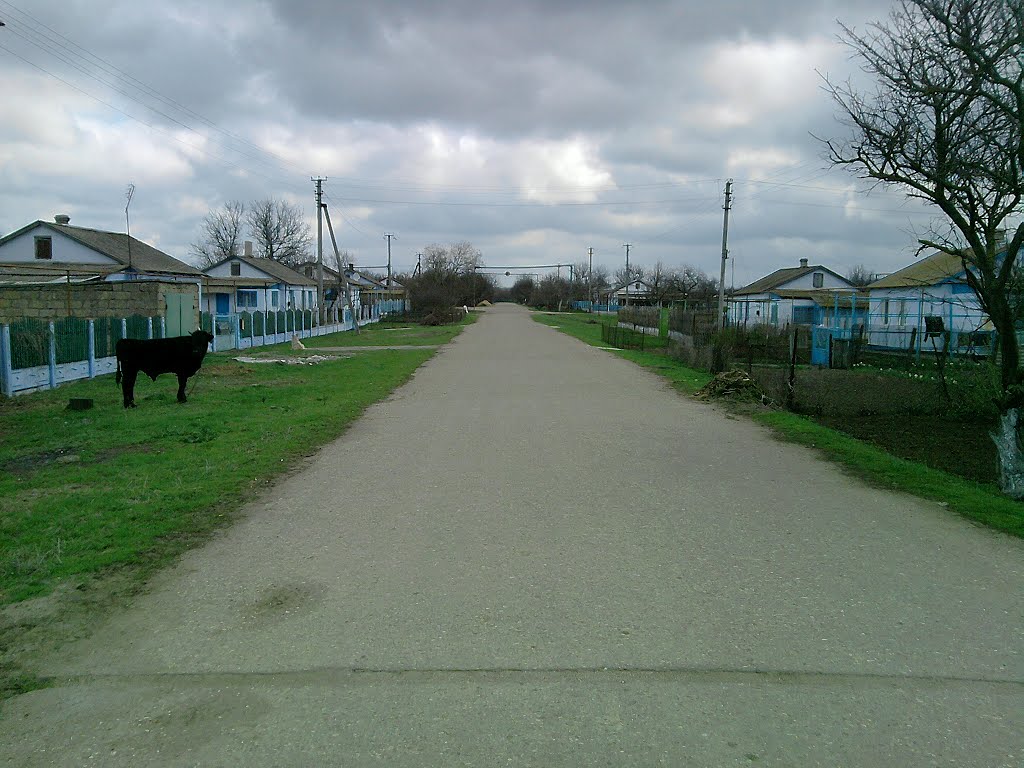 ул.Садовая