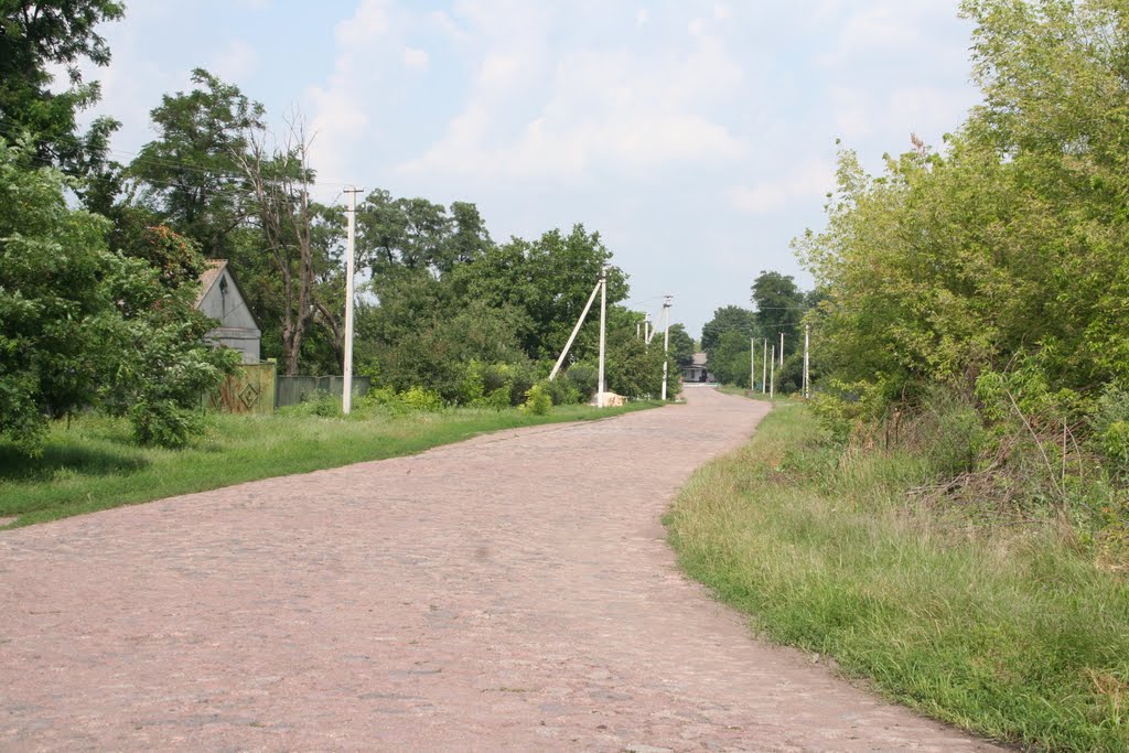 По дороге в школу