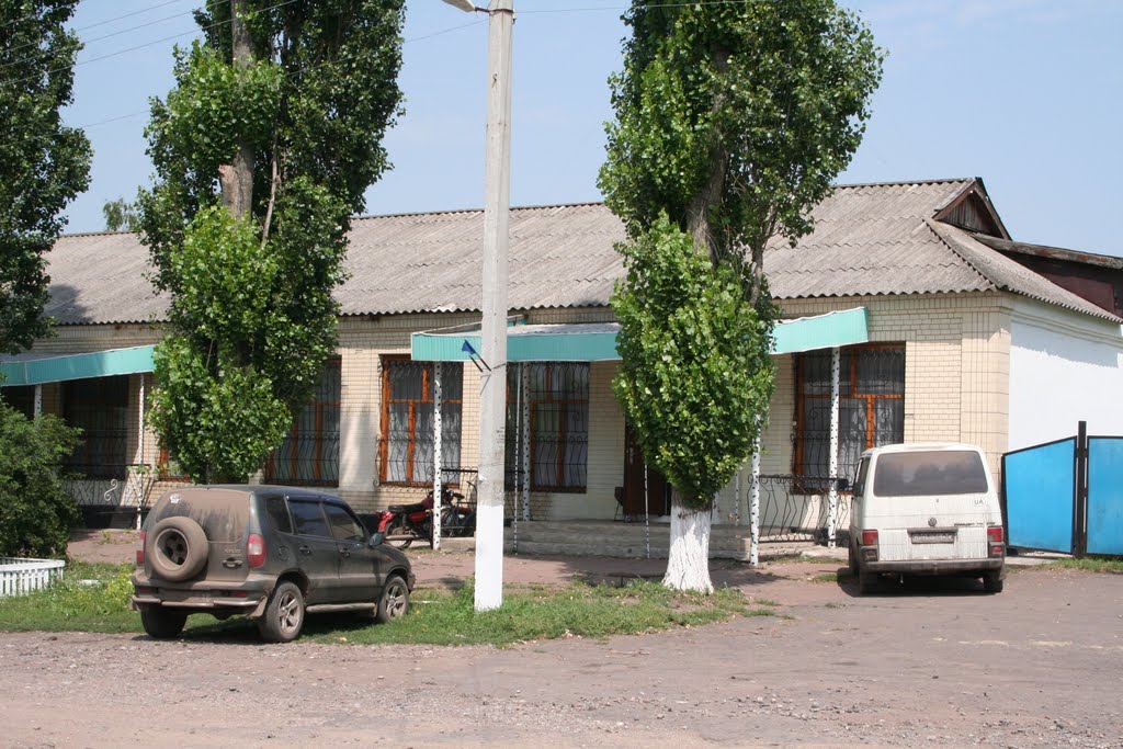 в центре