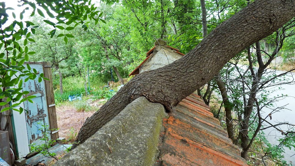 Katsiveli