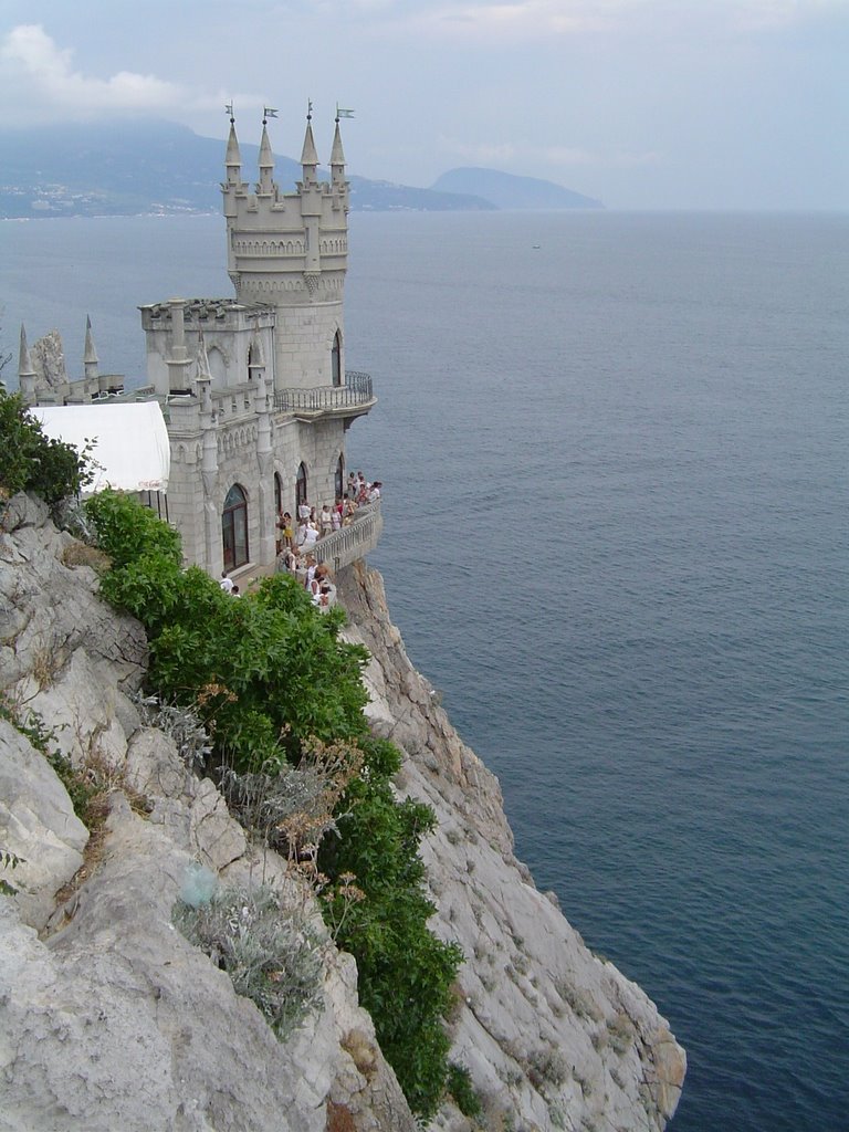 Jaskółcze gniazdo/swallows nest