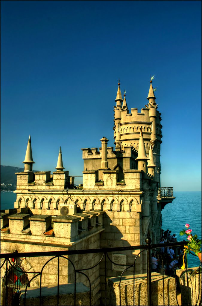 Castle. Swallows nest.