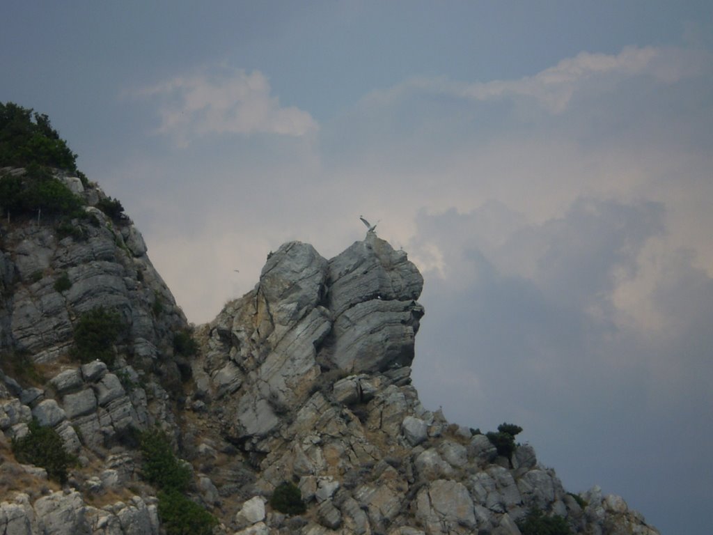Eagle