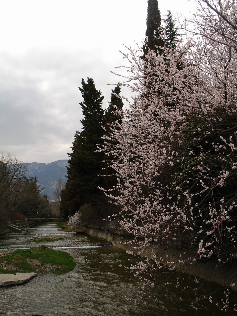 Ялта, р. Водопадная (Yalta, Vodopadnaja river)