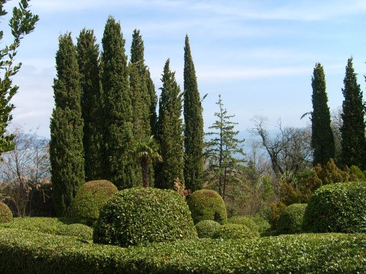 Yalta/Livadia sarayı bahçesi