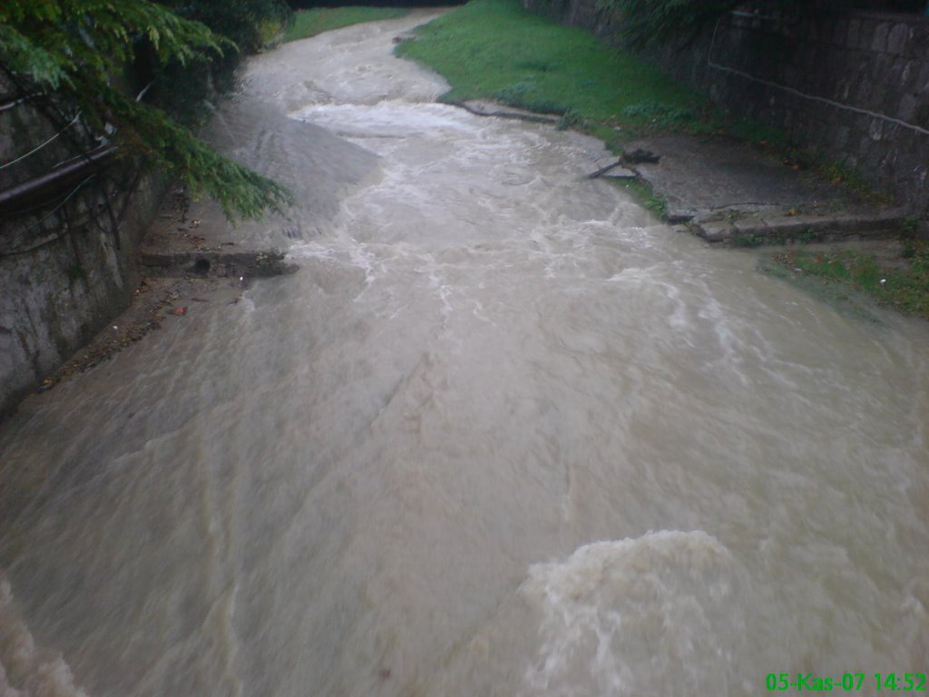 Little river in Yalta