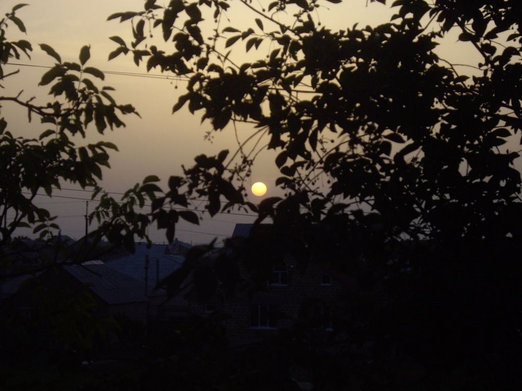 sunset of yellow star