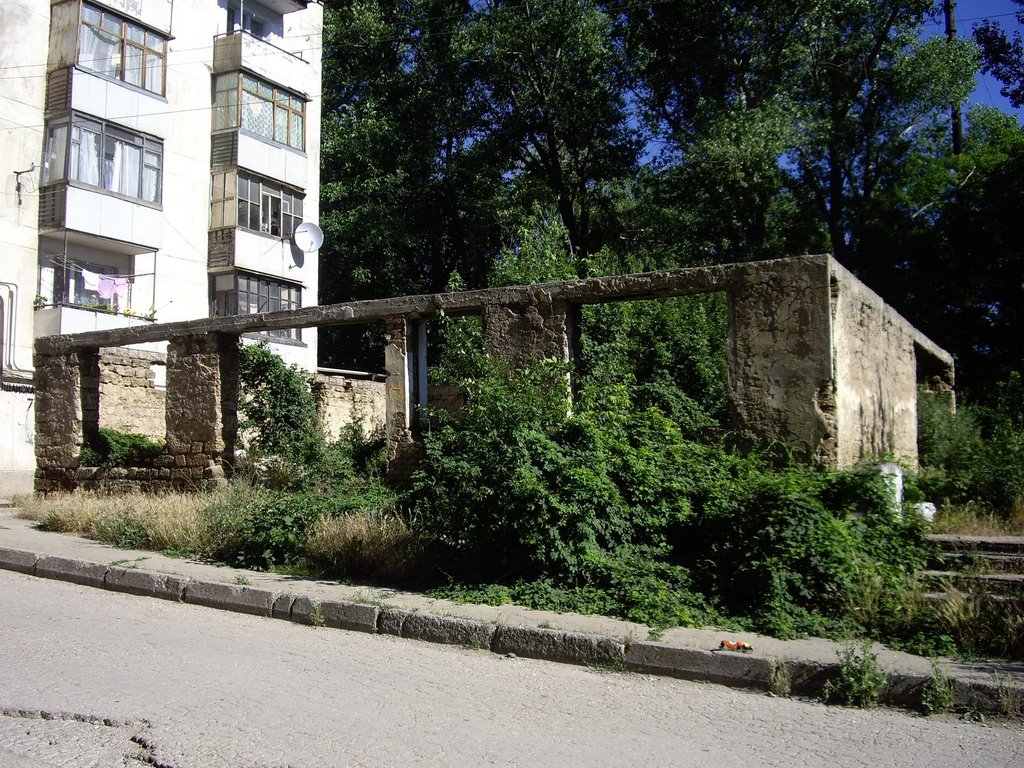 foundation