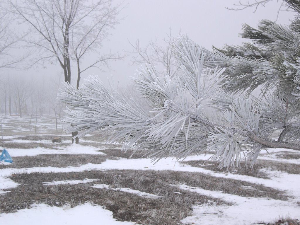 ice