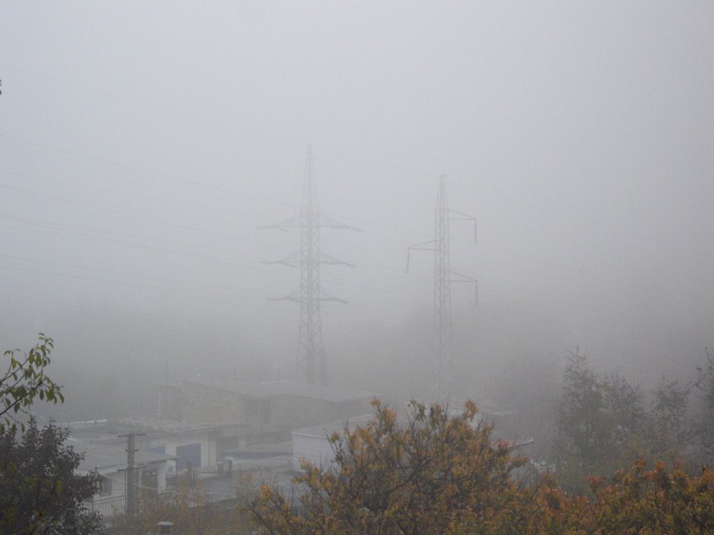 Fog