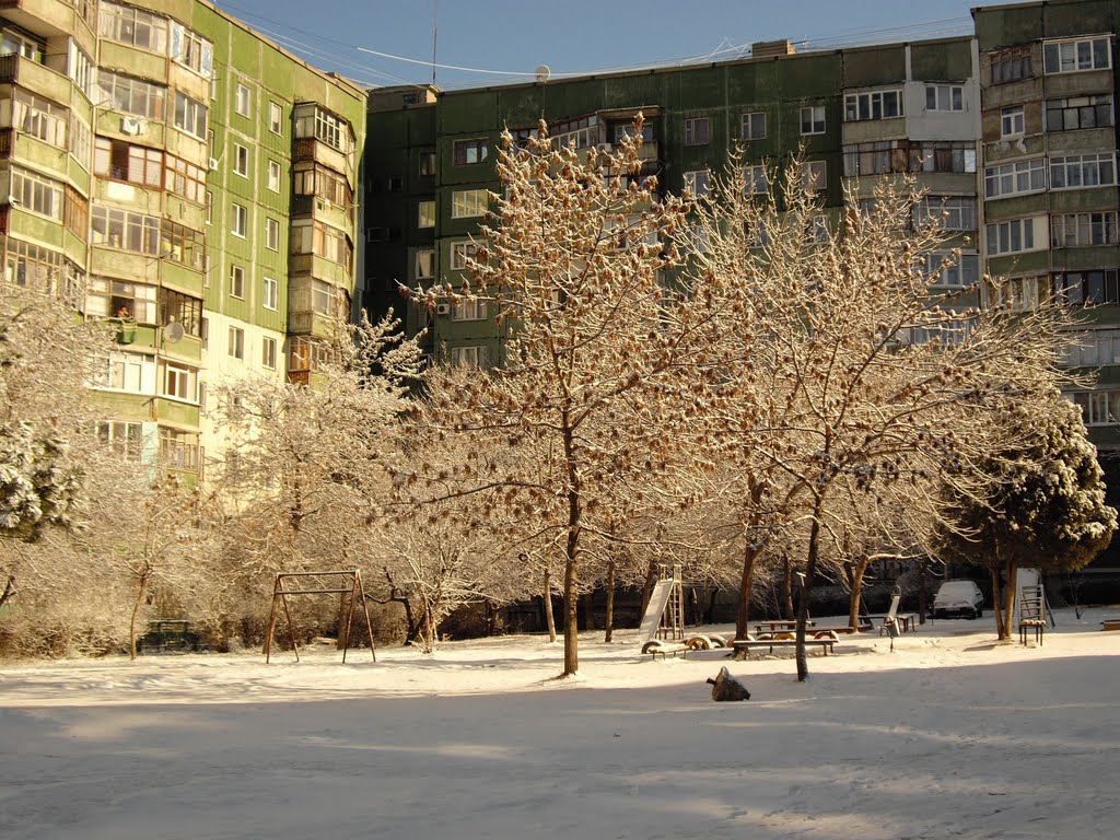 16.III.2010