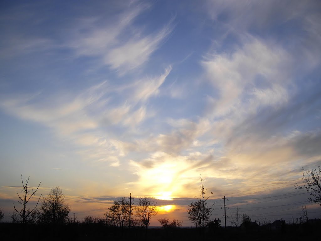 Sky