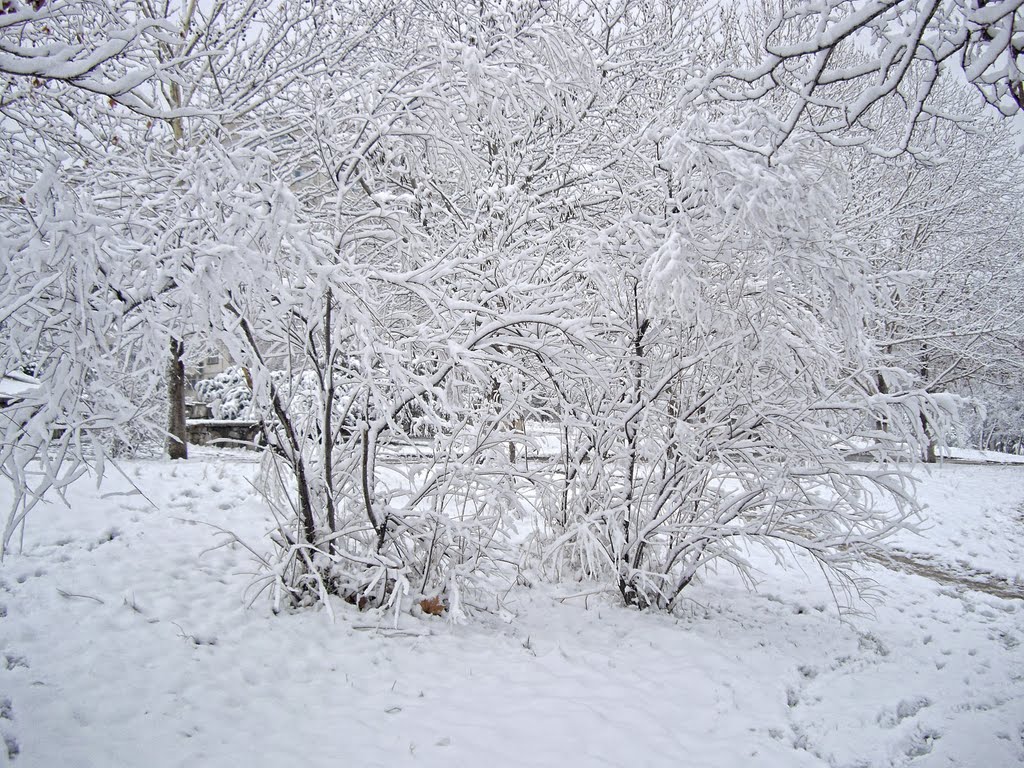 Снег у школы