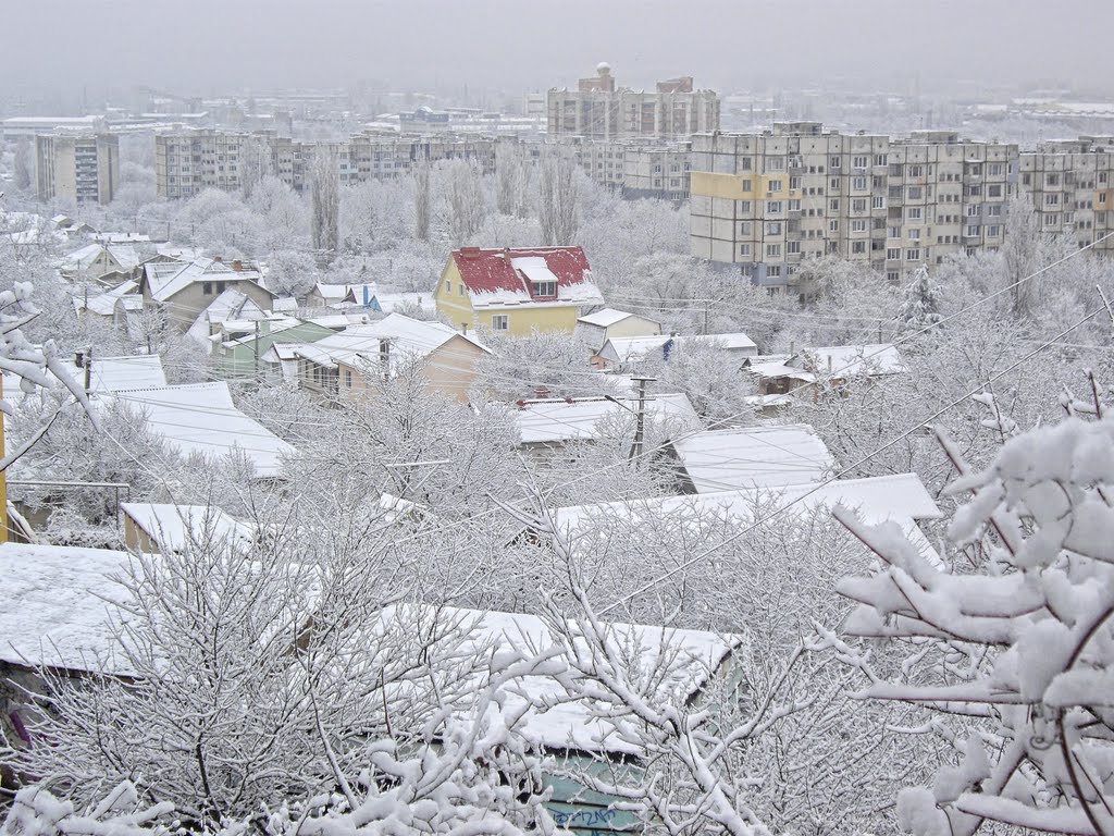 Белые крыши