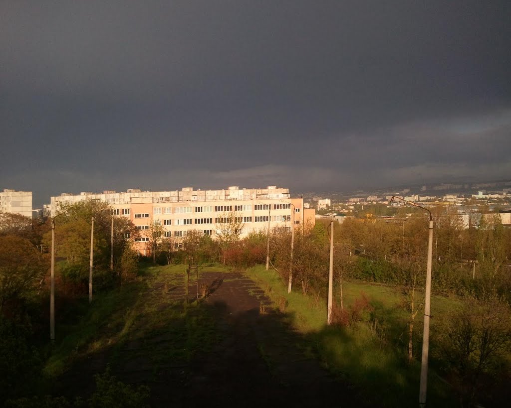 after rain