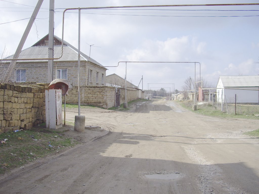 Tartar slums