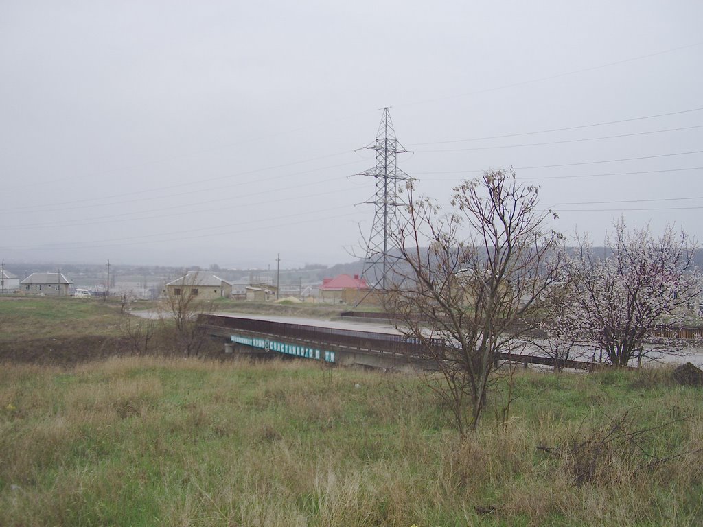 Bridge